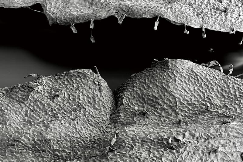 SAWAA Skin Hatch ONCE space Exhibition 2022