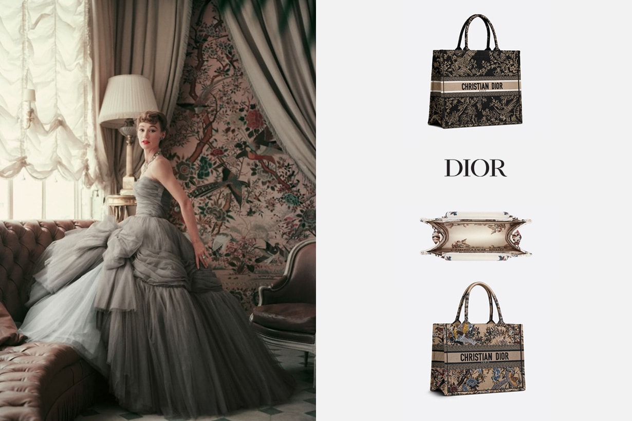 Dior Book Tote Dior Jardin d'Hiver tote bag 2022fw handbags