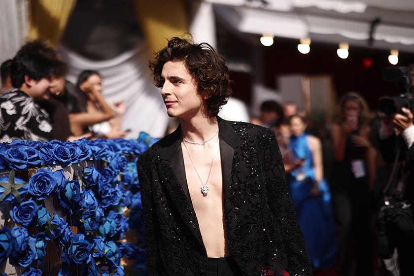 Timothee Chalamet Leonardo DiCaprio No hard drugs and no superhero movies