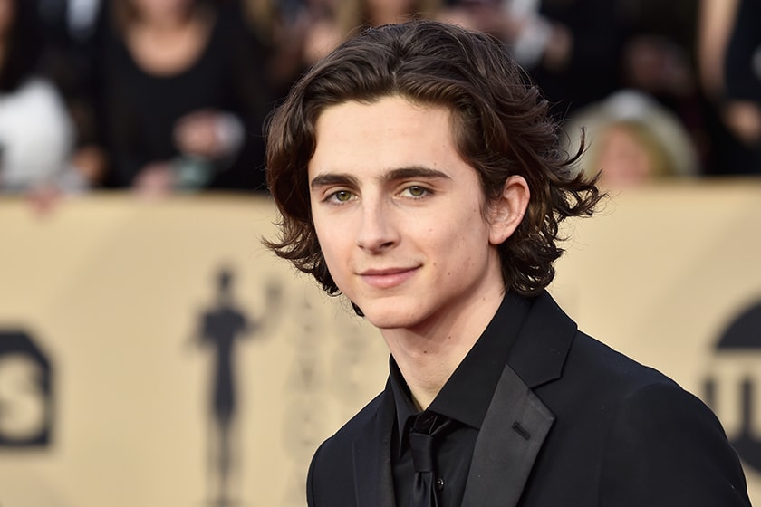 Timothee Chalamet Leonardo DiCaprio No hard drugs and no superhero movies