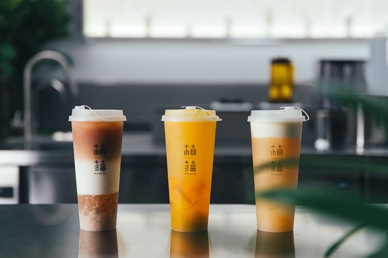 taiwan taipei Zhongzheng Planté bubble tea drink