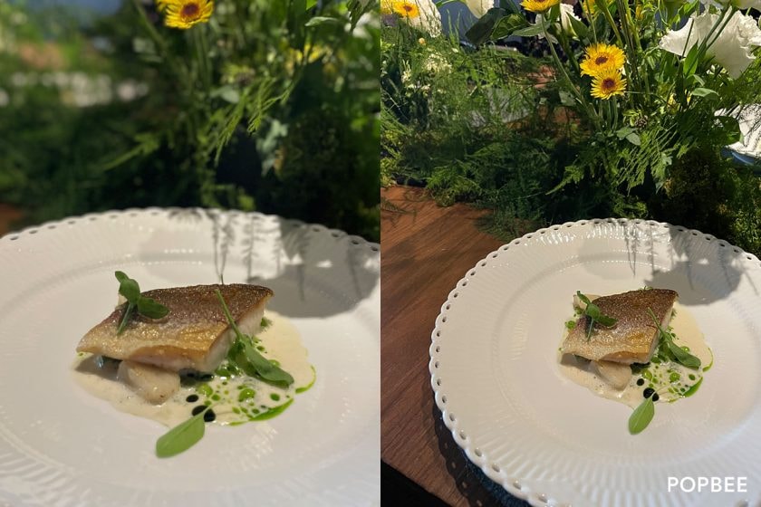 Royal Copenhagen mume limited menu celebrate 50th denmark