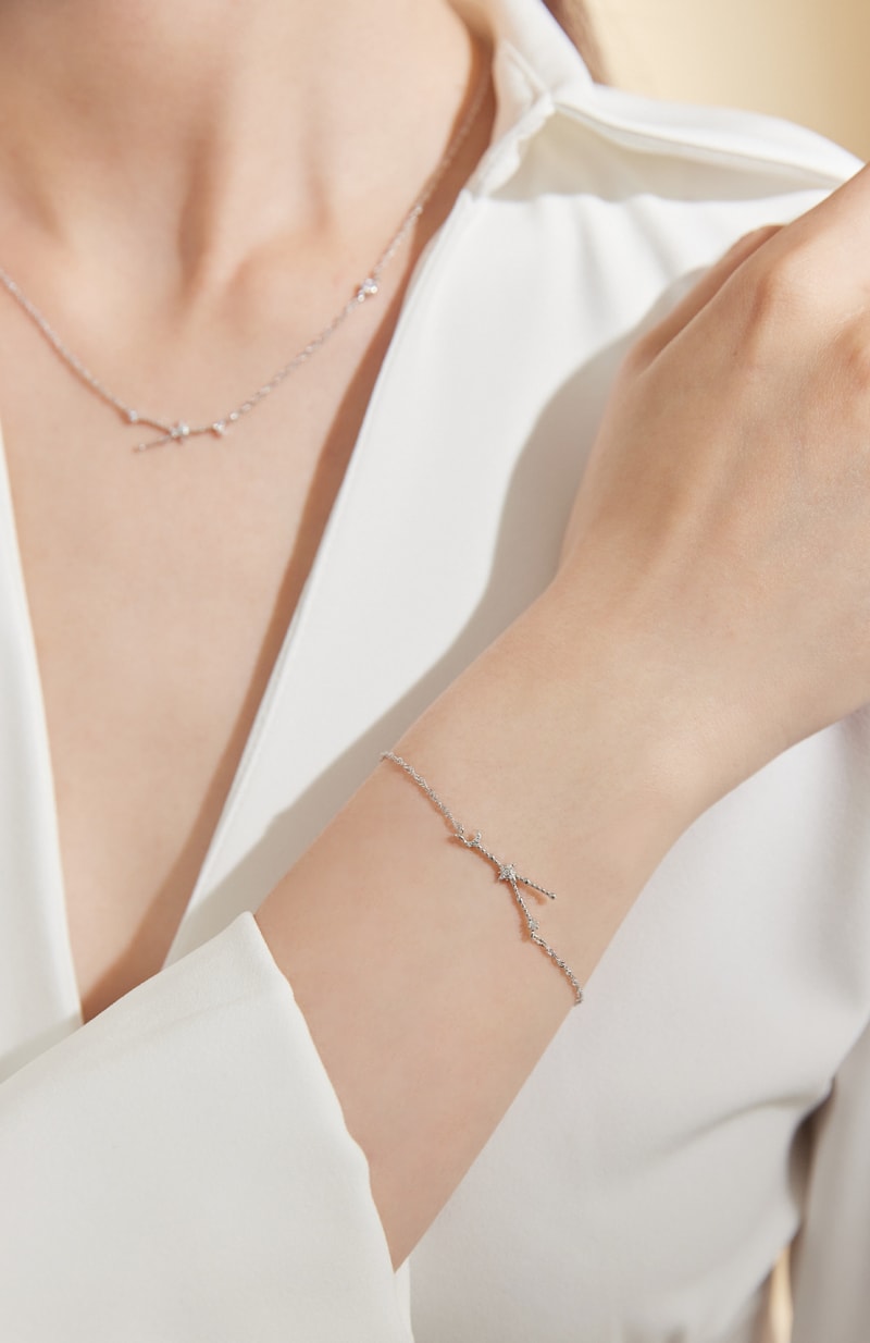 Vacanza Accessory V Class 12 zodiac sign necklace bracelet