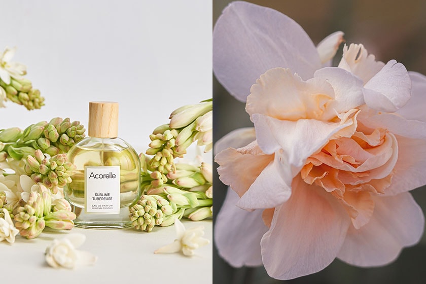 Acorelle Perfume organic French brand