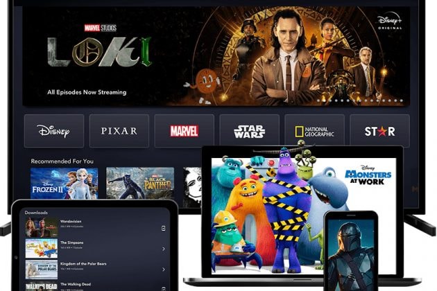 Netflix-disney-plus-Streaming-media