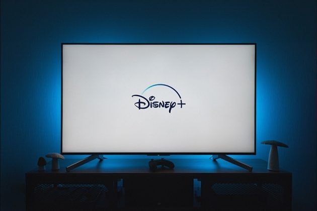 Netflix-disney-plus-Streaming-media