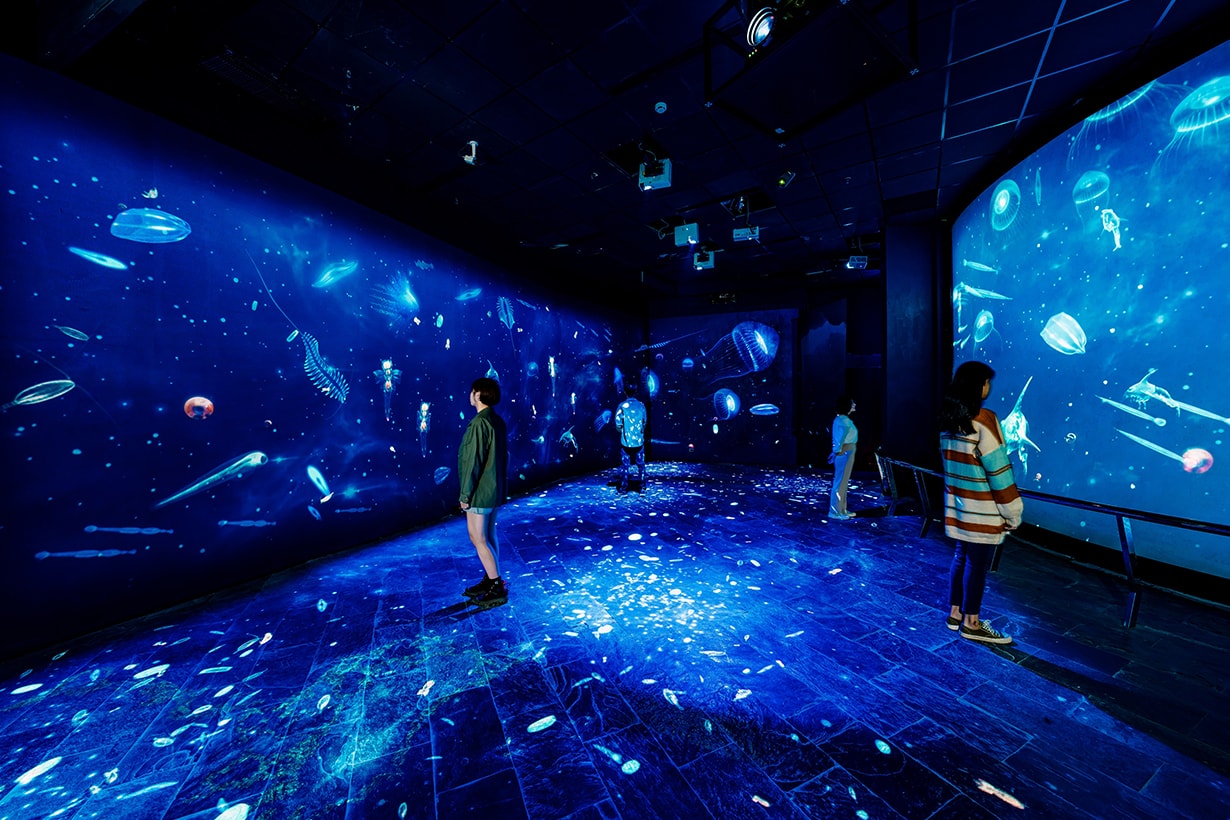 National Museum of Marine Biology and Aquarium plankton exhibition