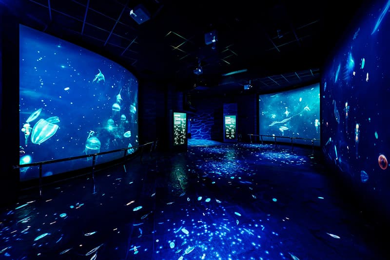 National Museum of Marine Biology and Aquarium plankton exhibition