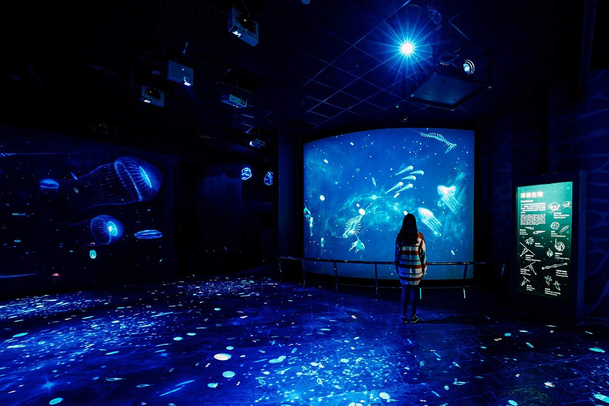National Museum of Marine Biology and Aquarium plankton exhibition