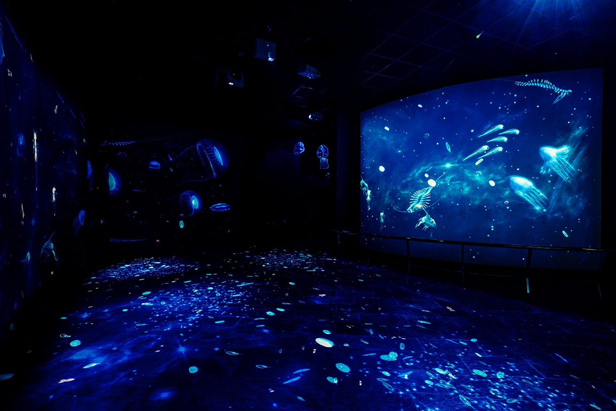 National Museum of Marine Biology and Aquarium plankton exhibition
