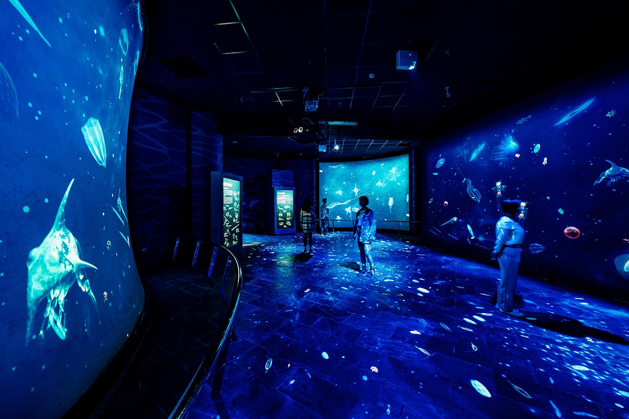 National Museum of Marine Biology and Aquarium plankton exhibition