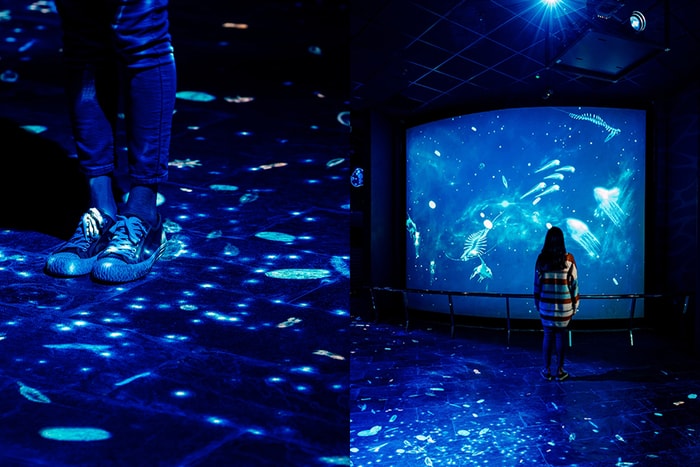 夢幻深海之旅：這個假日就想去，屏東海生館「微光漂流」沉浸式投影展！