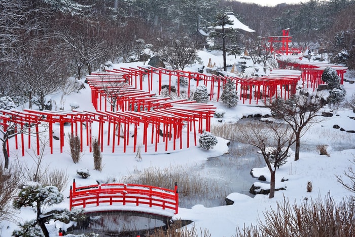 去日本本州看浪漫雪景！精選冬日遊必去熱點