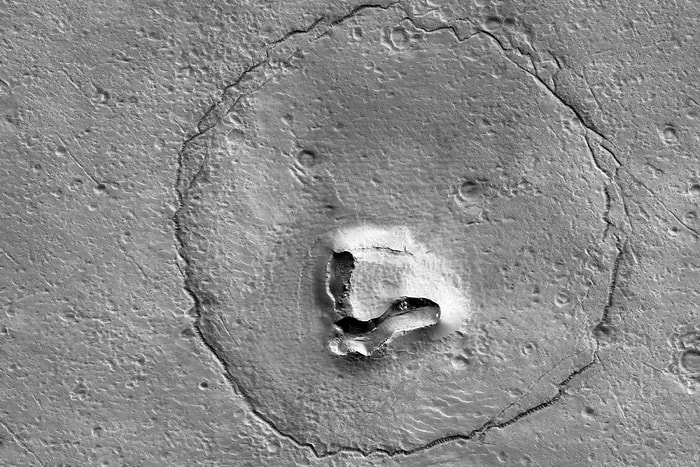NASA 公佈最新火星表面的衛星拍攝照片，竟然拍到小熊「登陸」火星！