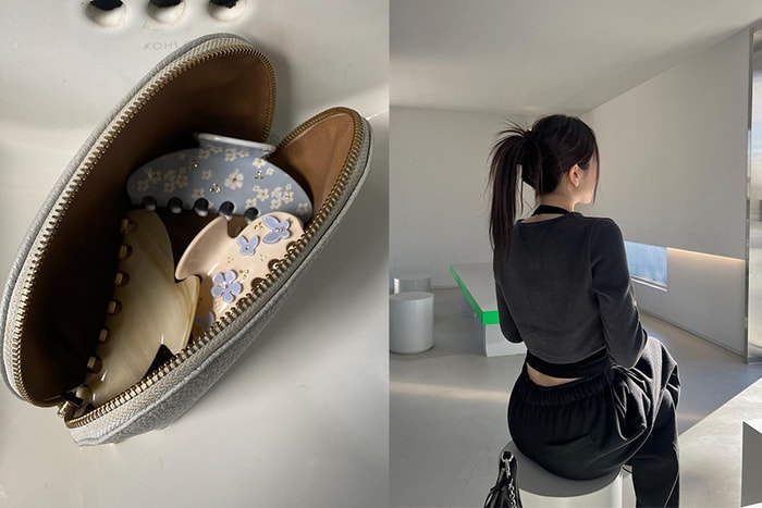 超美冷門髮夾款式推薦,讓你走在街上絕不撞款!