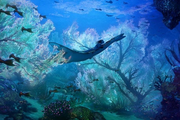 已進入歷史高票房第 4 名:《Avatar 2》可以進帳多少錢?粗估導演薪水有近一億...