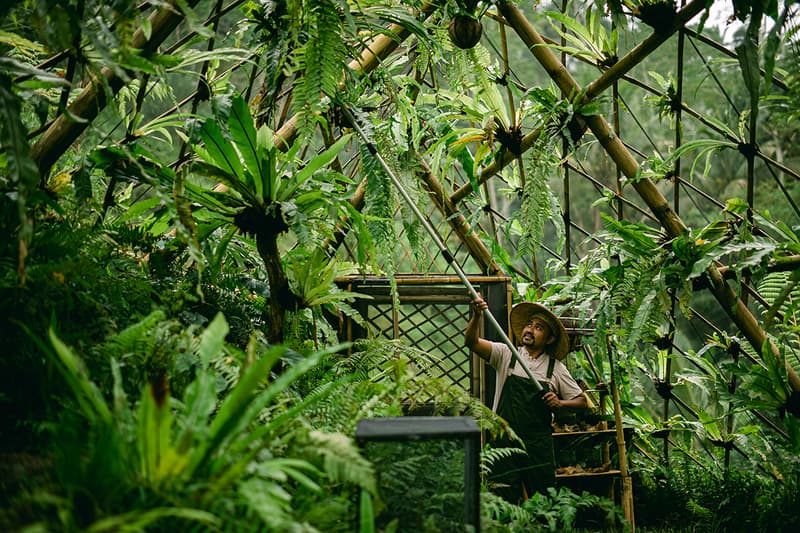 banyan-tree-buahan-hotel-bail