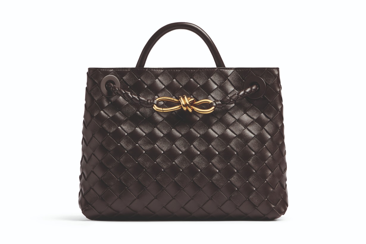 Bottega Veneta Handbag 手袋 Matthieu Blazy Andiamo SS23 2023春夏系列