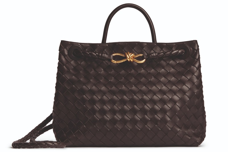 Bottega Veneta Handbag 手袋 Matthieu Blazy Andiamo SS23 2023春夏系列