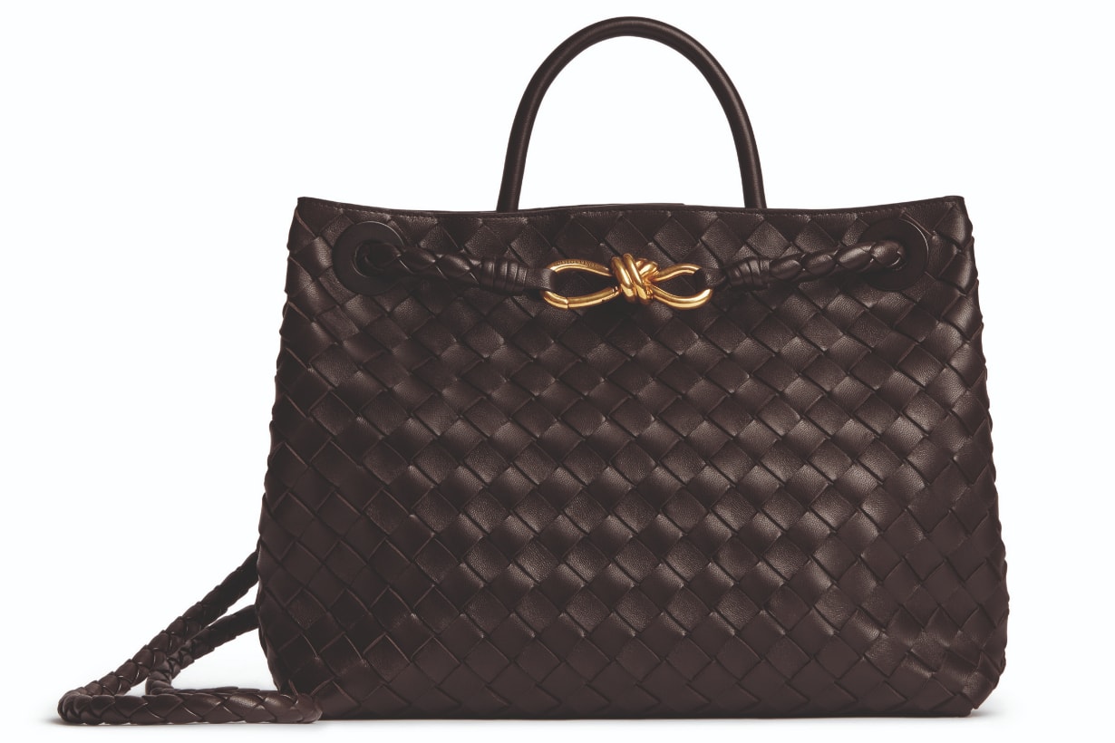 Bottega Veneta Handbag 手袋 Matthieu Blazy Andiamo SS23 2023春夏系列