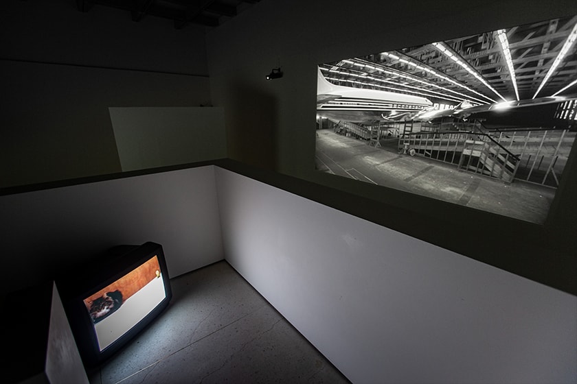 David Claerbout taiwan solo Exhibition Meditation in Peace Taipei Fine Arts Museum