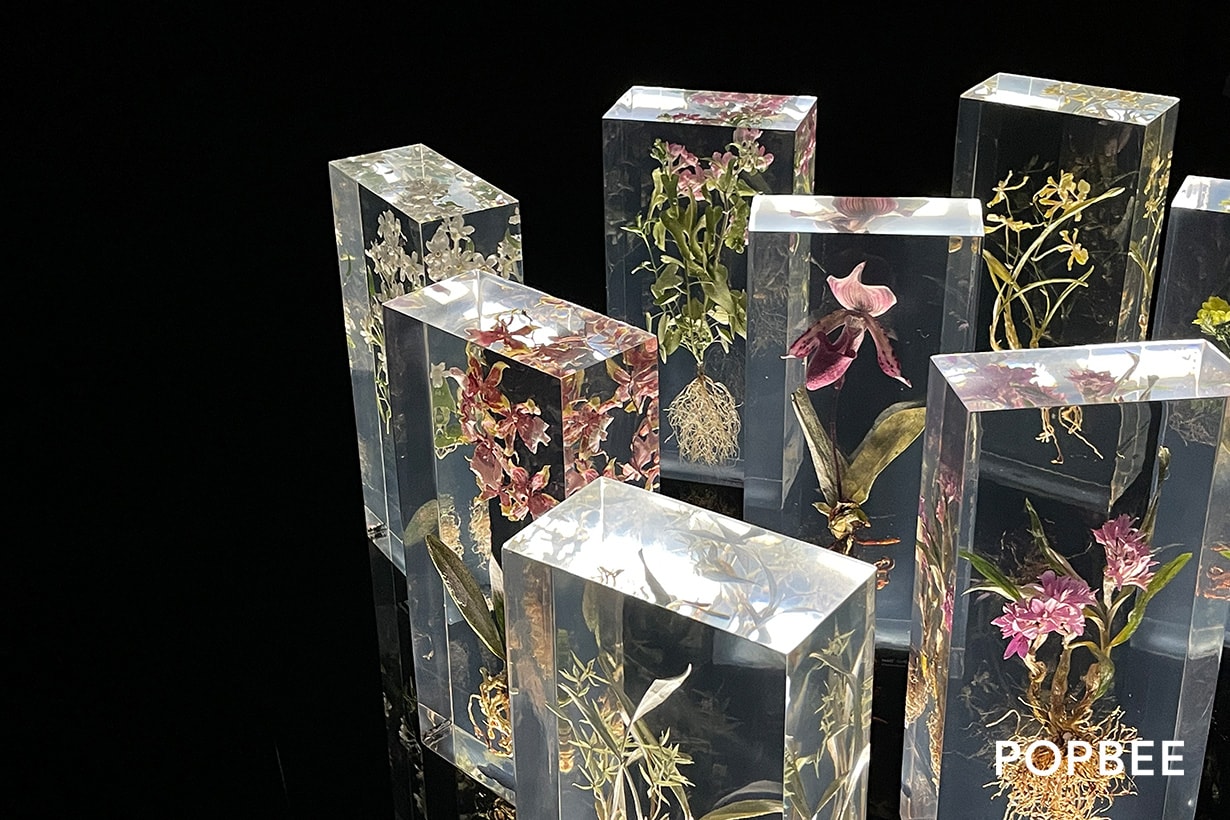 Azuma Makoto Japanese Flower Artist Exhibition taiwan NOKE new open