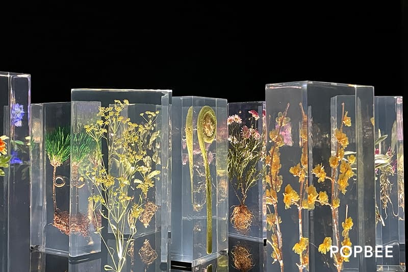 Azuma Makoto Japanese Flower Artist Exhibition taiwan NOKE new open