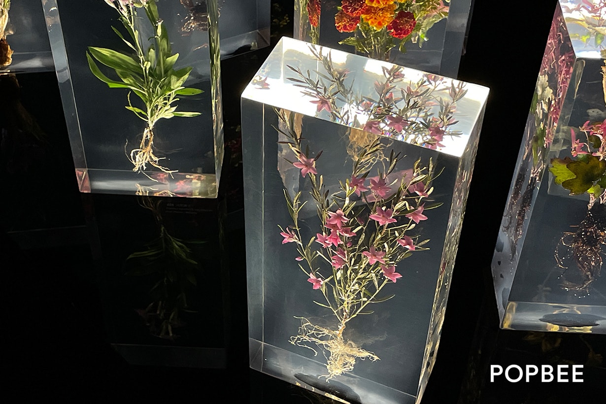 Azuma Makoto Japanese Flower Artist Exhibition taiwan NOKE new open
