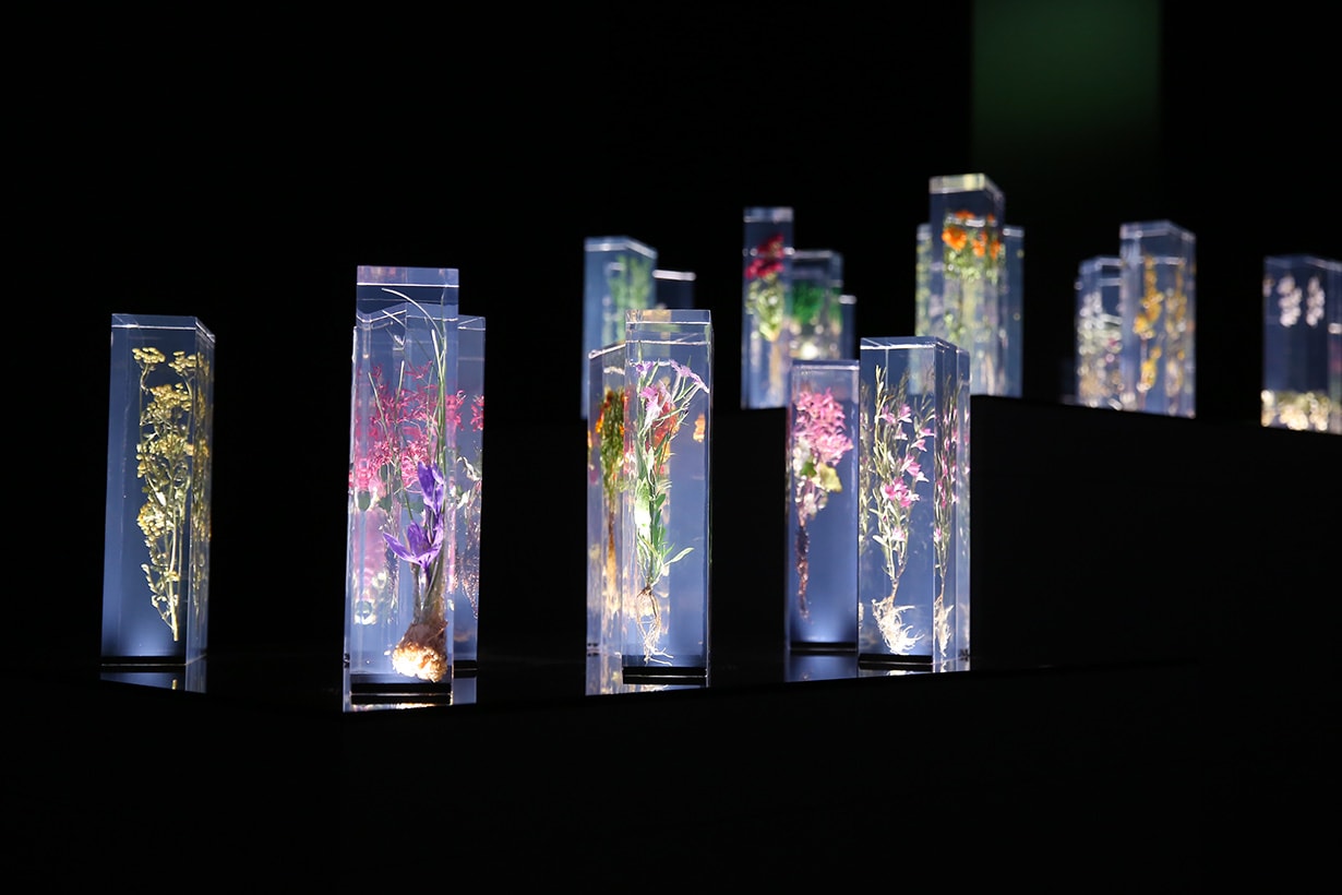 Azuma Makoto Japanese Flower Artist Exhibition taiwan NOKE new open
