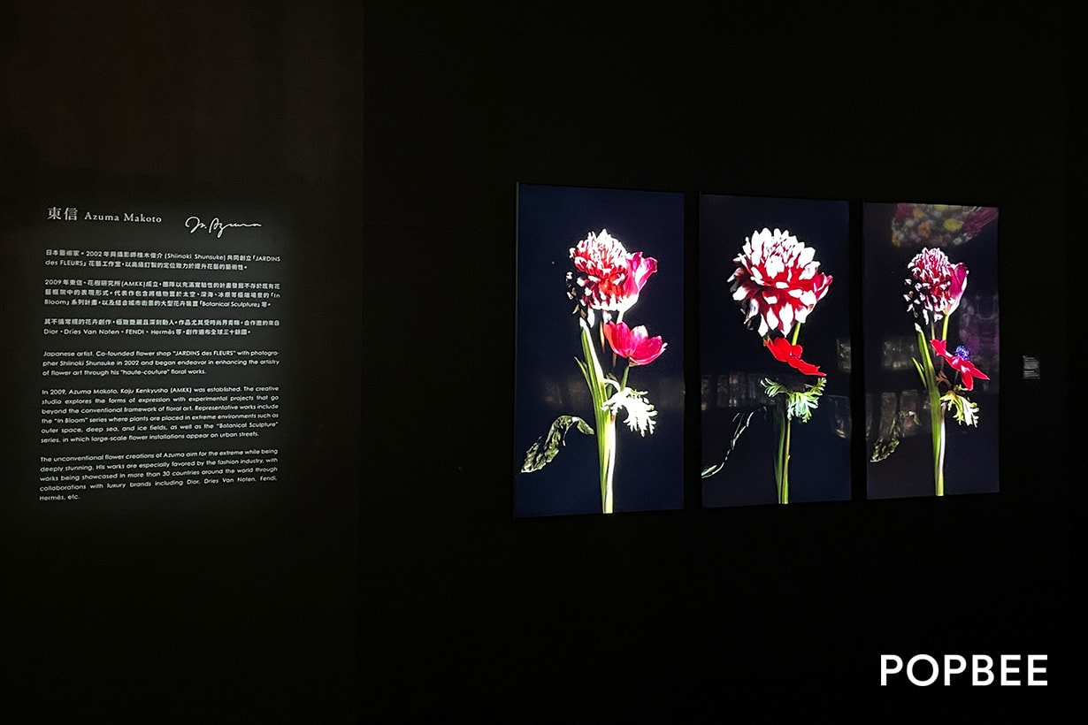 Azuma Makoto Japanese Flower Artist Exhibition taiwan NOKE new open