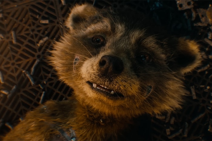 Marvel 釋出「火箭浣熊」的童年片段,原來牠的名字出自這個甜蜜又心酸的理由⋯⋯