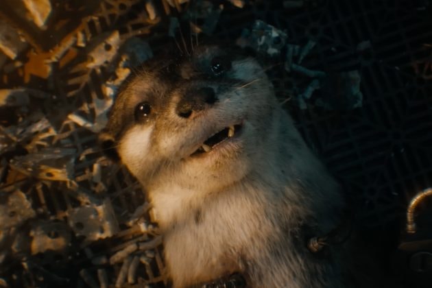 guardians-of-the-galaxy-3-released-rocket-childhood-video