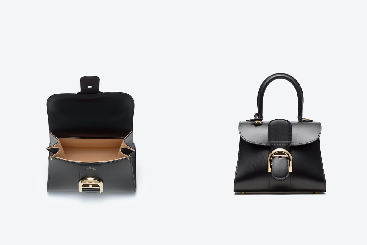 Delvaux Brillant mini Selena Gomez