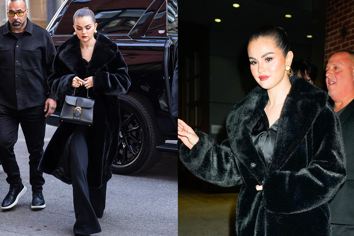 Delvaux Brillant mini Selena Gomez 