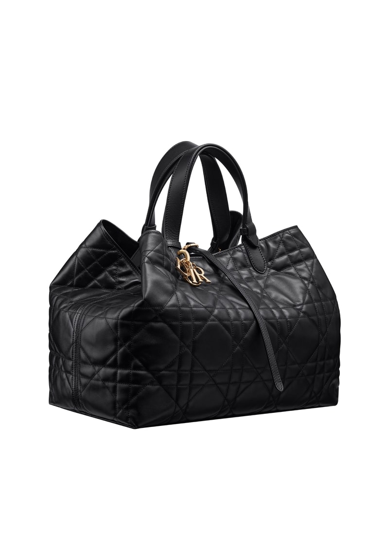 Dior 2023 Fall handbags collection Maria Grazia Chiuri