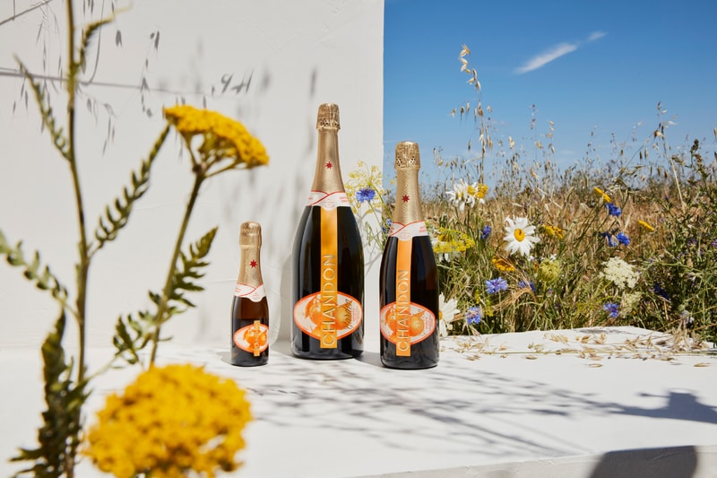 Wine 紅酒 香檳 Summer