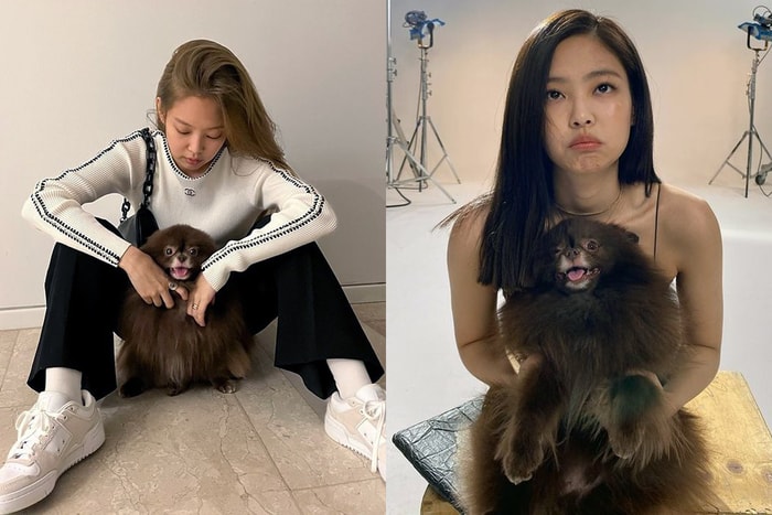 Jennie 也有碰壁時！愛犬 Kuma 上節目不認她，讓她超尷尬求節目組「請刪掉」