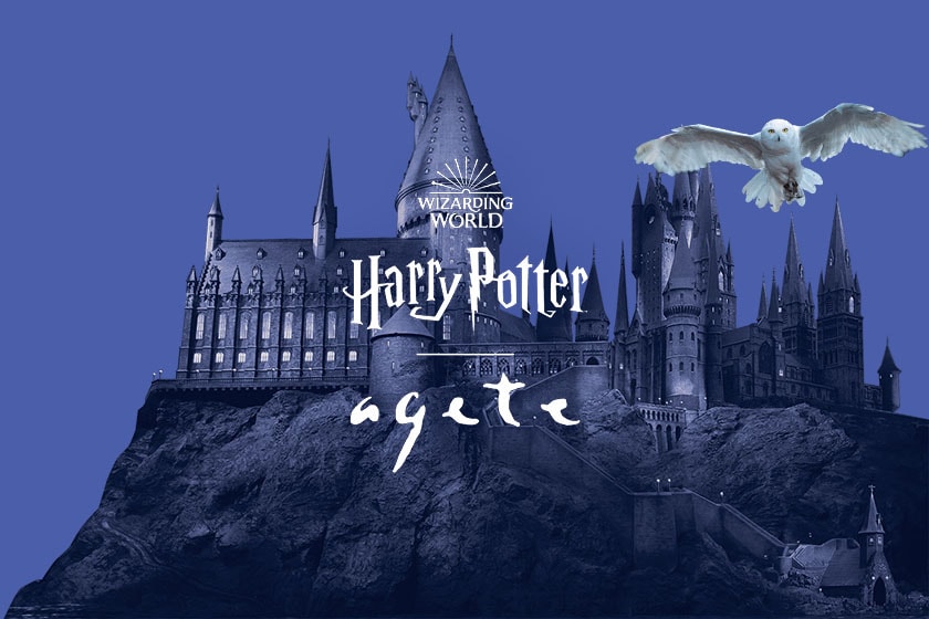 agete x Harry Potter Collaboration Accessories