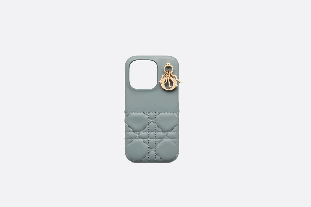 Dior iphone case mini bags 2023 accessories