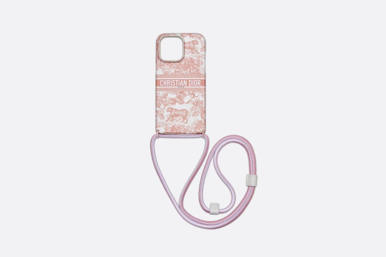 Dior iphone case mini bags 2023 accessories