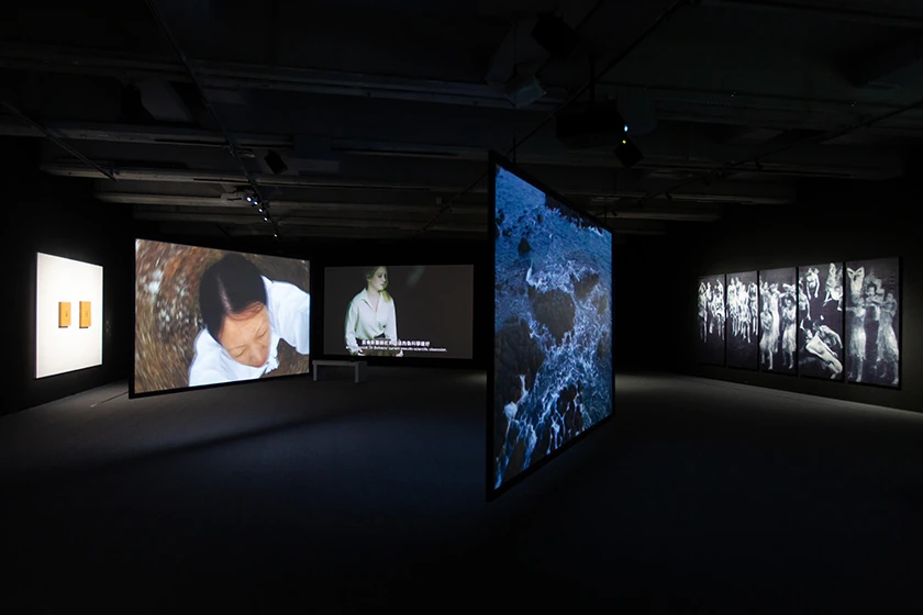 Taipei Fine Arts Museum 2023 Exhibition Forest of being Time