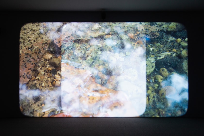 Taipei Fine Arts Museum 2023 Exhibition Forest of being Time