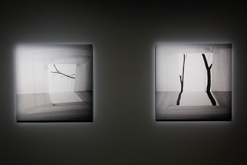Taipei Fine Arts Museum 2023 Exhibition Forest of being Time