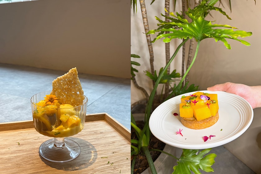 zhuori 2023 summer dessert menu mango Parfait fruit tea Avocado Scrambled Eggs