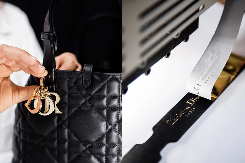 Dior Toujours Maria Grazia Chiuri