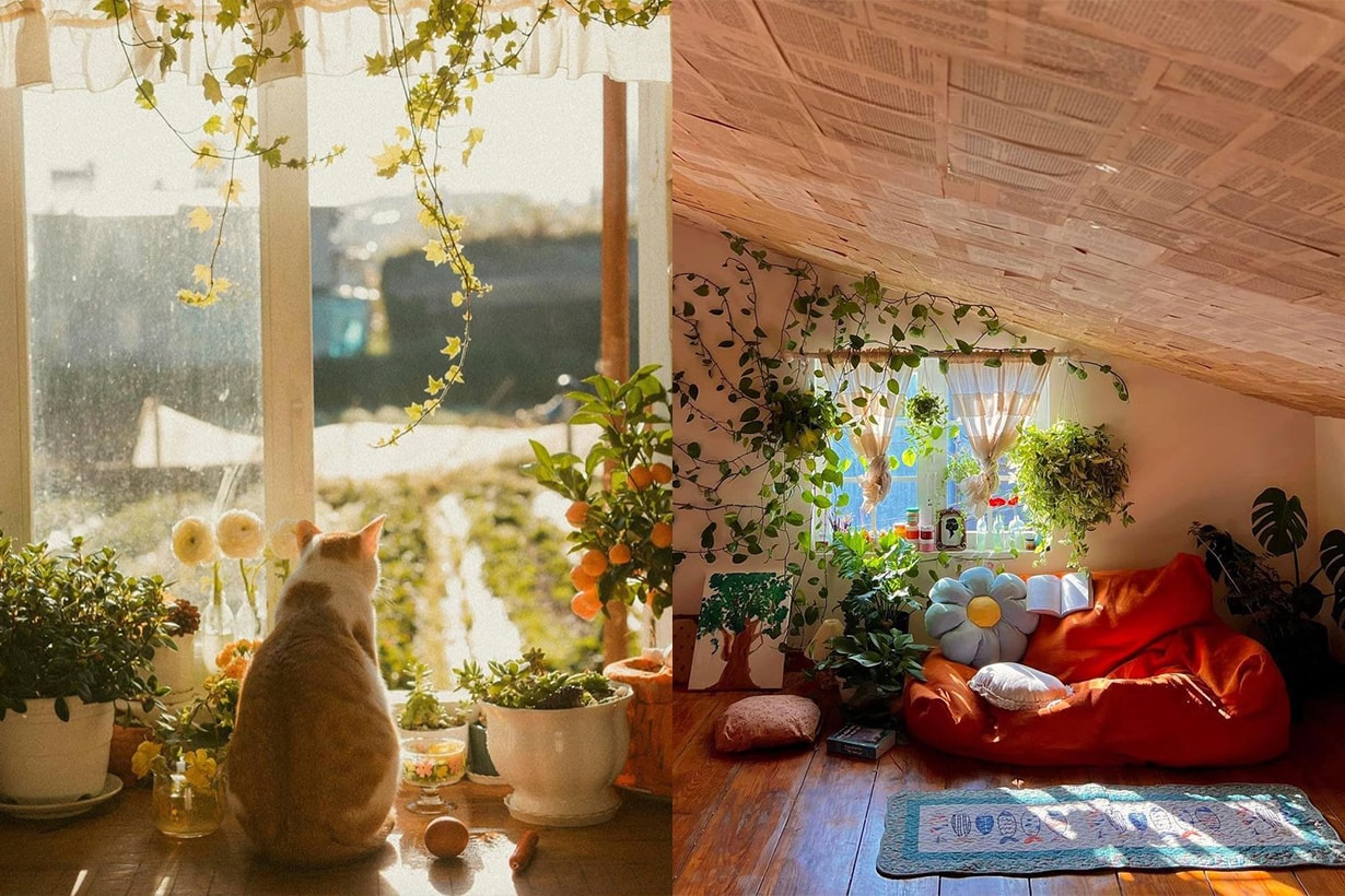 vietnam-airbnb-called-full-house-motngoinhadalat-are-full-of-cat