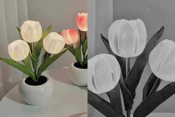 一束不會凋謝的花:超可愛鬱金香燈,日韓女生桌上都擺了一盞!