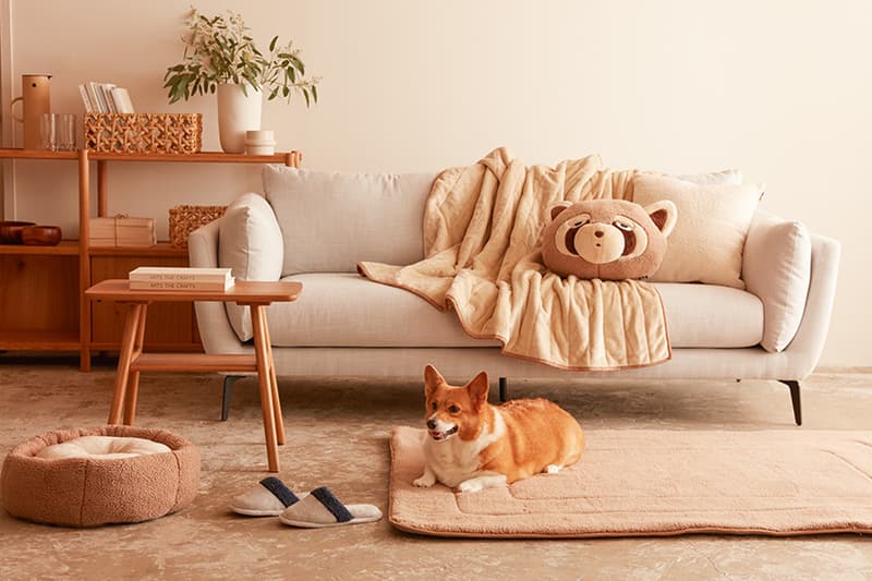 HOLA Warm Touch hand Warm pillow 2023 winter release
