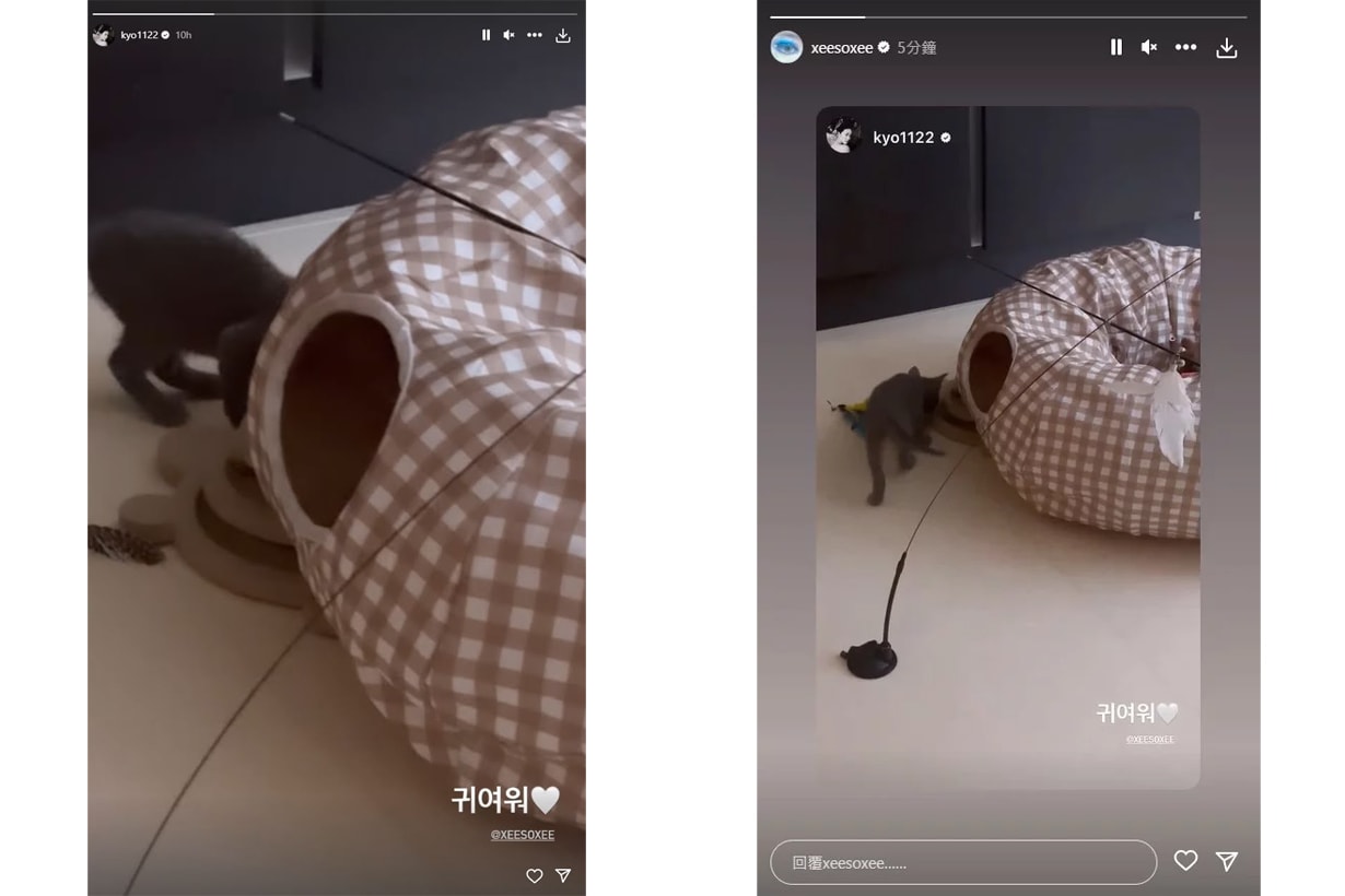 兩個女神還是忍不住相愛:宋慧喬與韓韶禧私下約會了