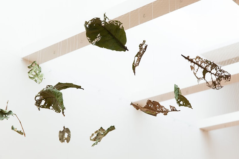 Taipei Fine Arts Museum 13th Taipei Biennial Small World open
